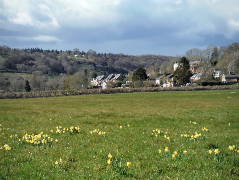 Blakeney village from the Bideford Brook